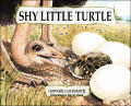 Shy Little Turtle
