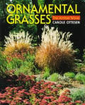 Ornamental Grasses The Amber Wave