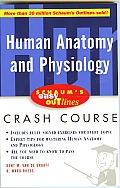 Schaums Easy Outline of Human Anatomy & Physiology