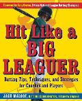 Hit Like a Big Leaguer: Batting Tips, Techniques, and Strategies for Coaches and Players