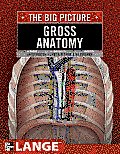 Gross Anatomy The Big Picture