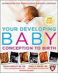 Your Developing Baby Conception To Birth