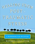 Healing from Post Traumatic Stress A Workbook for Recovery
