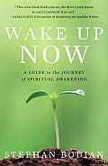 Wake Up Now A Guide to the Journey of Spiritual Awakening