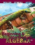 Beginning & Intermediate Algebra 4th Edition