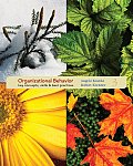Organizational Behavior Key Concepts Skills & Best Practices 3rd edition