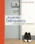 Juvenile Delinquency Bridging Theory To Practice