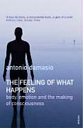 Feeling Of What Happens Body Emotion & T