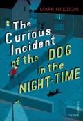 Curious Incident of the Dog in the Night time