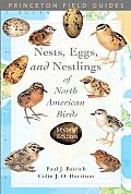 Guide To The Nests Eggs & Nestlings Of North A