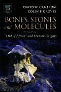 Bones, Stones and Molecules: Out of Africa and Human Origins