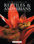 Encyclopedia Of Reptiles & Amphibians 2nd Edition