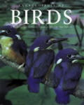 Encyclopedia Of Birds 2nd Edition
