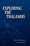 Exploring the Thalamus
