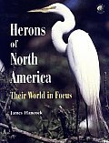 Herons Of North America Their World In