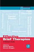 Effective Brief Therapies A Clinicians Guide