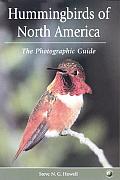 Hummingbirds Of North America The Photog