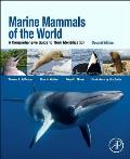 Marine Mammals Of The World A Comprehensive Guide To Their Identification