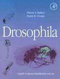 Drosophila: A Guide to Species Identification and Use