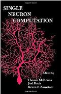 Single Neuron Computation