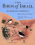Birds Of Israel