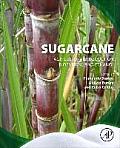 Sugarcane: Agricultural Production, Bioenergy and Ethanol