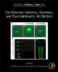 The Zebrafish: Genetics, Genomics, and Transcriptomics: Volume 135