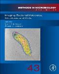 Imaging Bacterial Molecules, Structures and Cells: Volume 43