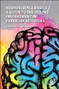 Neuroscience Basics A Guide To The Brains Involvement In Everyday Activities