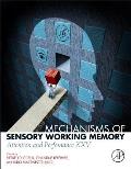 Mechanisms of Sensory Working Memory: Attention and Perfomance XXV