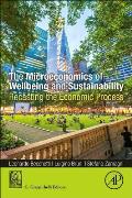 The Microeconomics of Wellbeing and Sustainability: Recasting the Economic Process