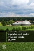 Biomethane Production from Vegetable and Water Hyacinth Waste
