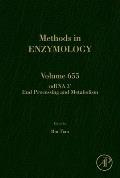 Mrna 3' End Processing and Metabolism: Volume 655