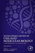 Signal Transduction in Cancer and Immunity: Volume 361