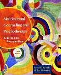 Multicultural Counseling and Psychotherapy: A Lifespan Perspective
