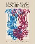 Principles Of Biochemistry 4th Edition