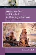 Strategies of Sex and Survival in Female Hamadryas Baboons: Through a Female Lens