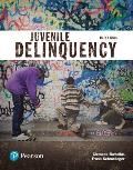 Juvenile Delinquency Justice Series Student Value Edition Plus Revel Access Card Package