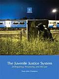 Juvenile Justice System 6th Edition