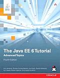 The Java EE 6 Tutorial: Advanced Topics