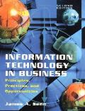 Information Technology In Business 2nd Edition N