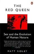 Red Queen Uk Edition