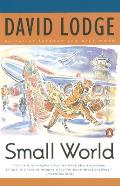 Small World An Academic Romance