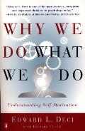 Why We Do What We Do Understanding Self Motivation