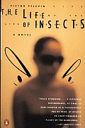 Life Of Insects