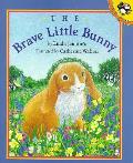 Brave Little Bunny