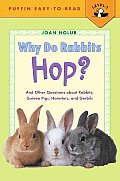 Why Do Rabbits Hop & Other Questions about Rabbits Guinea Pigs Hamsters & Gerbils
