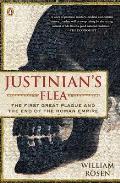 Justinians Flea The First Great Plague & the End of the Roman Empire