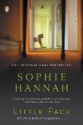 Little Face: A Zailer and Waterhouse Mystery