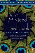 Good Hard Look A Novel of Flannery OConnor